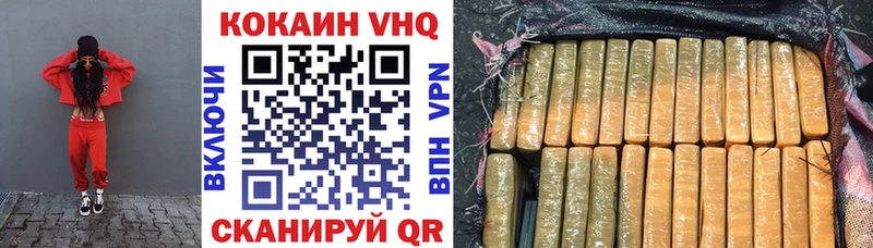 продажа наркотиков  Петровск-Забайкальский  COCAIN Fish Scale 