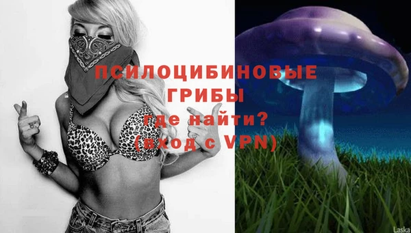 ALPHA PVP Алексин