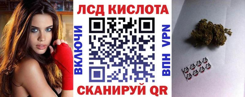 Наркотические марки 1,8мг  ссылка на мегу как войти  Петровск-Забайкальский  магазин  наркотиков 